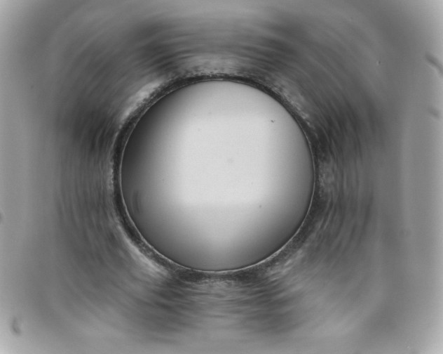 X0000097750629200803211652