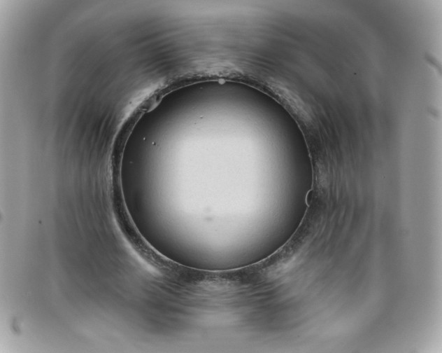 X0000097750630200803211652