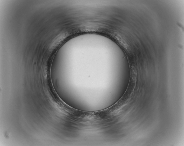 X0000097750631200803211652