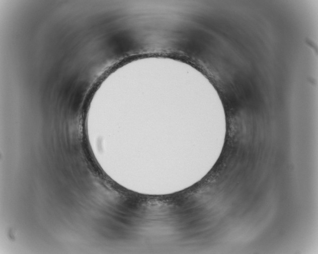 X0000097750632200803211652