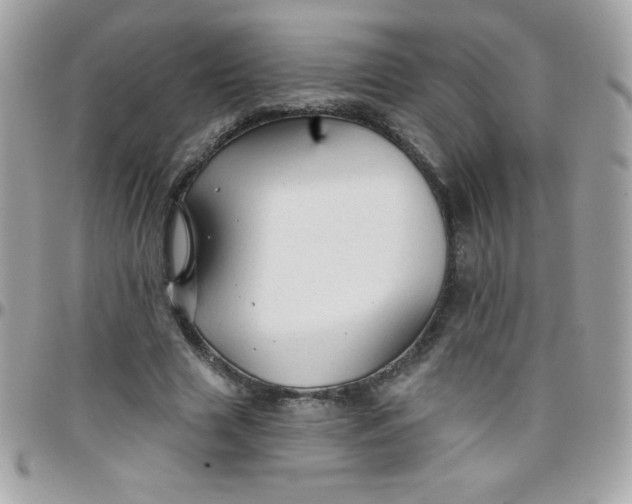 X0000097750633200803211652