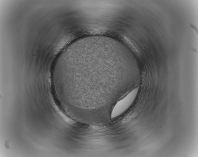 X0000097750634200803211652