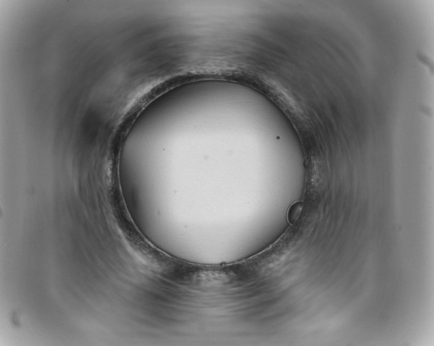 X0000097750636200803211652