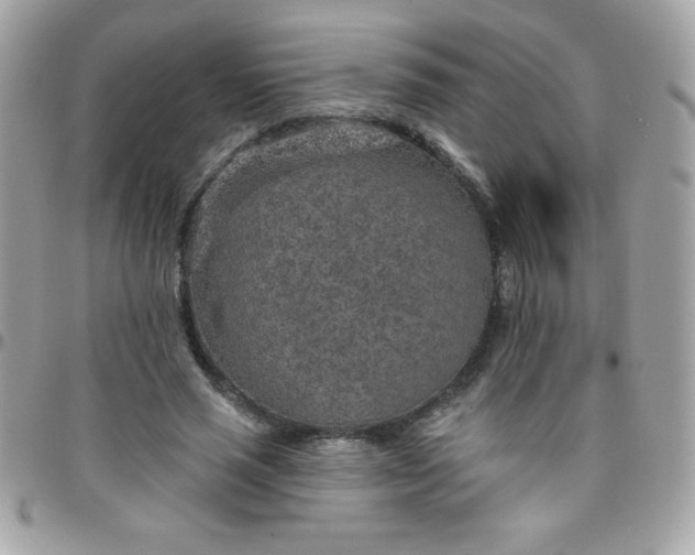 X0000097750637200803211652