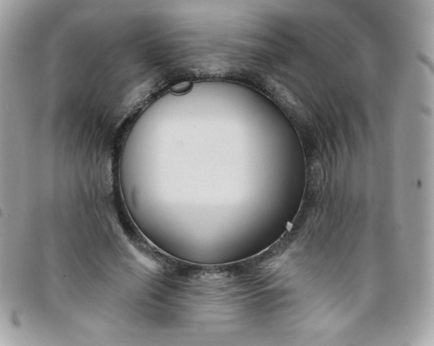 X0000097750638200803211652