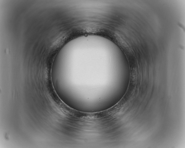 X0000097750639200803211652