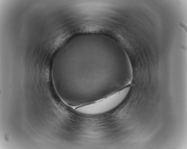 X0000097750640200803211652