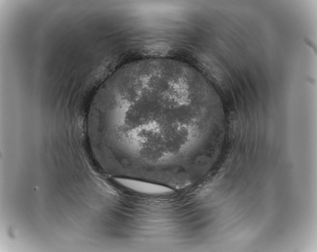 X0000097750641200803211652