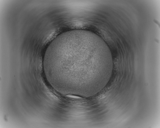 X0000097750642200803211652