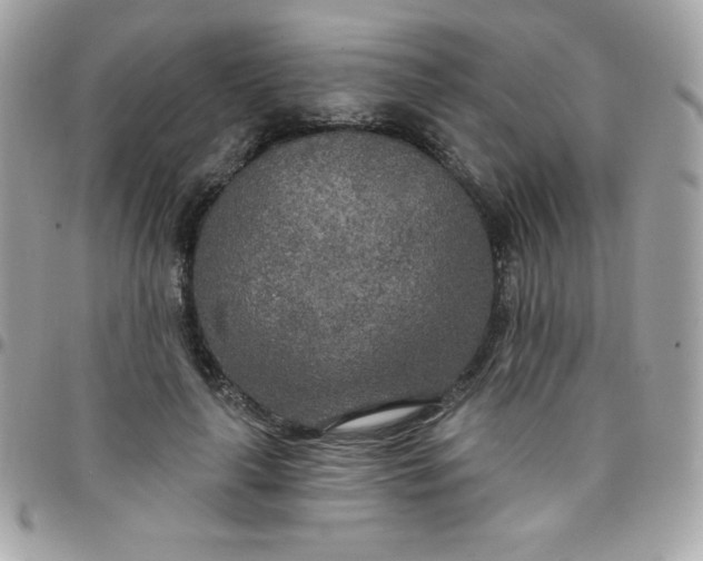 X0000097750643200803211653