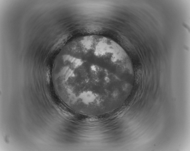 X0000097750644200803211653