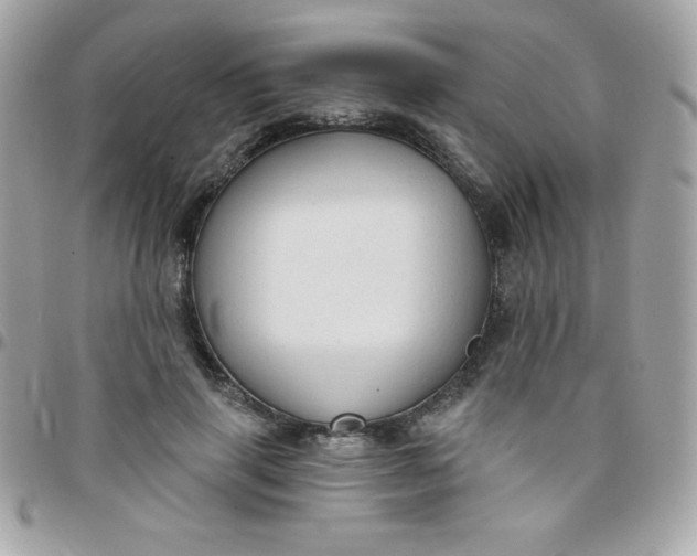 X0000097750645200803211653