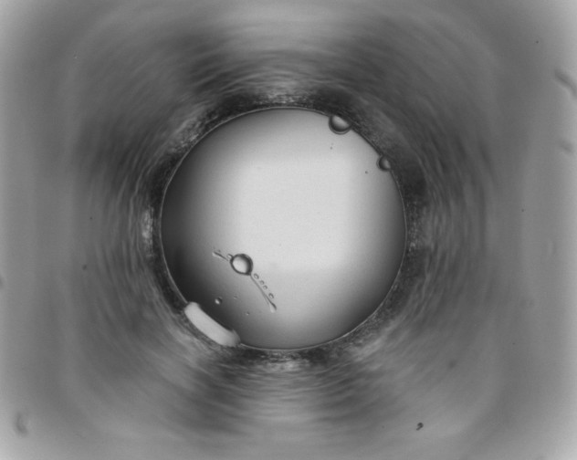 X0000097750646200803211653