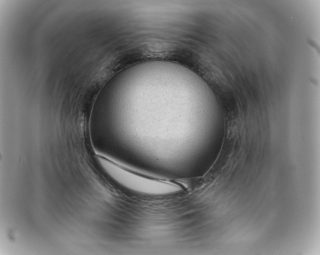 X0000097750647200803211653