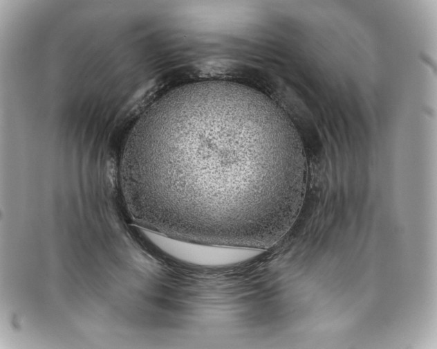 X0000097750648200803211653