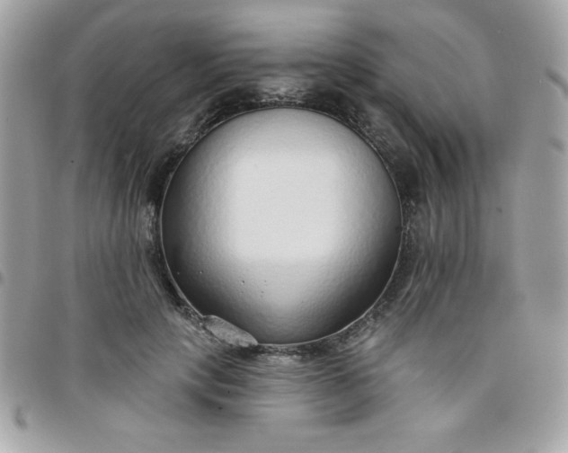 X0000097750649200803211653