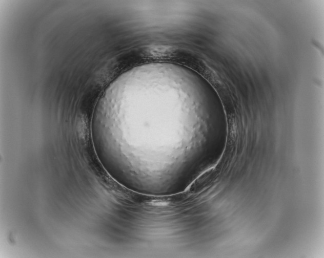 X0000097750651200803211653