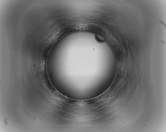 X0000097750652200803211653