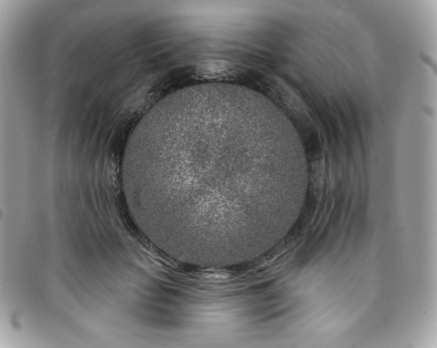 X0000097750653200803211653