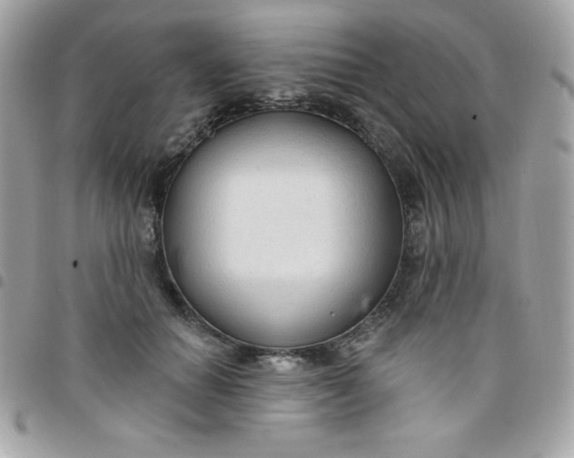 X0000097750654200803211653