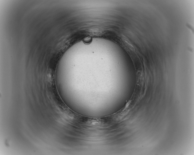 X0000097750655200803211653