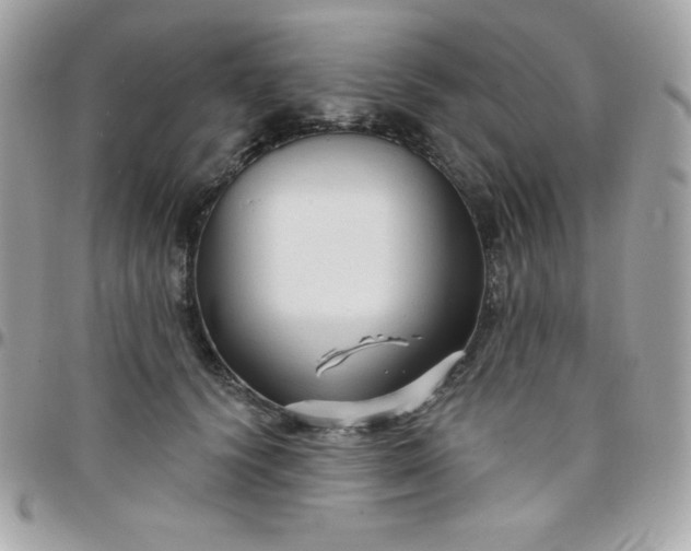 X0000097750656200803211653