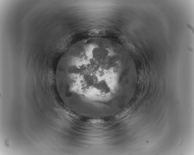 X0000097750659200803211653