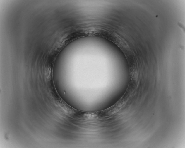 X0000097750660200803211653