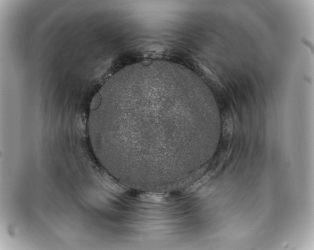 X0000097750661200803211653