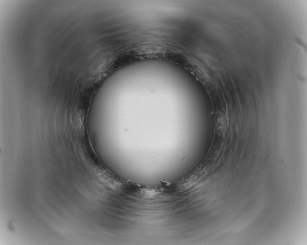 X0000097750662200803211653