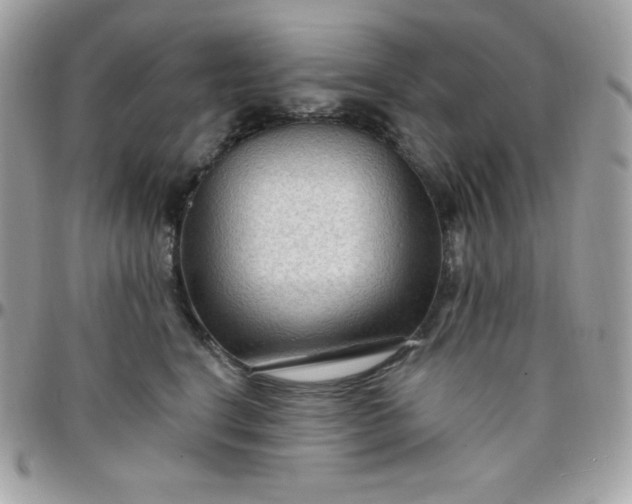 X0000097750664200803211653