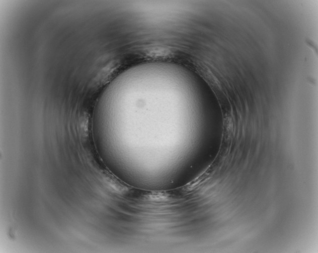 X0000097750668200803211653