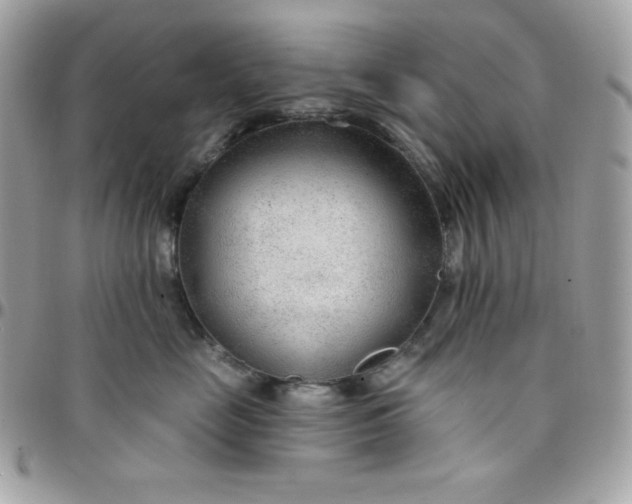 X0000097750669200803211653