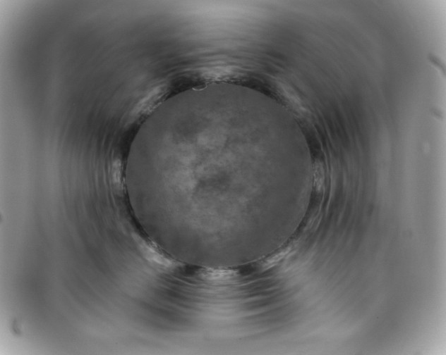 X0000097750670200803211653