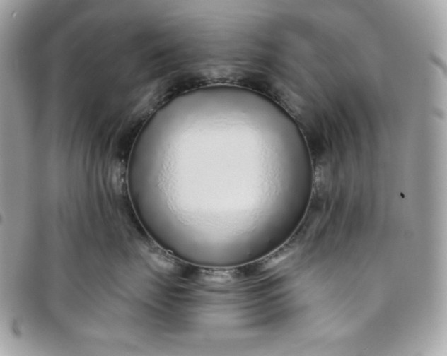 X0000097750671200803211653