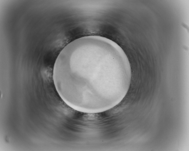 X0000097750672200803211653