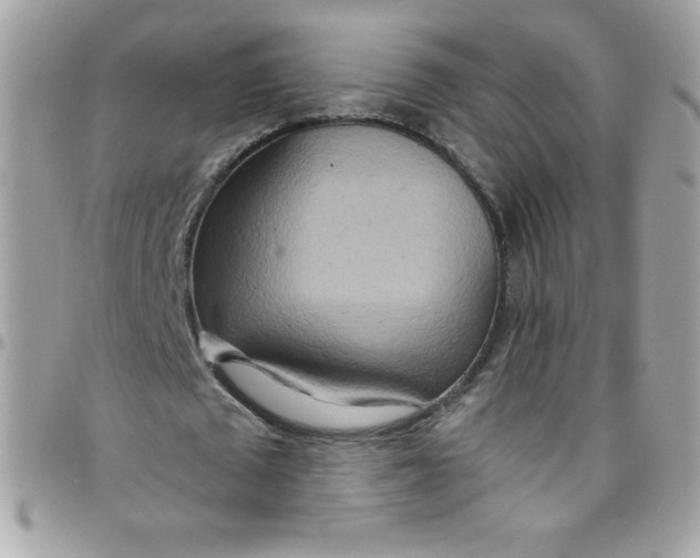 X0000097750673200803211652