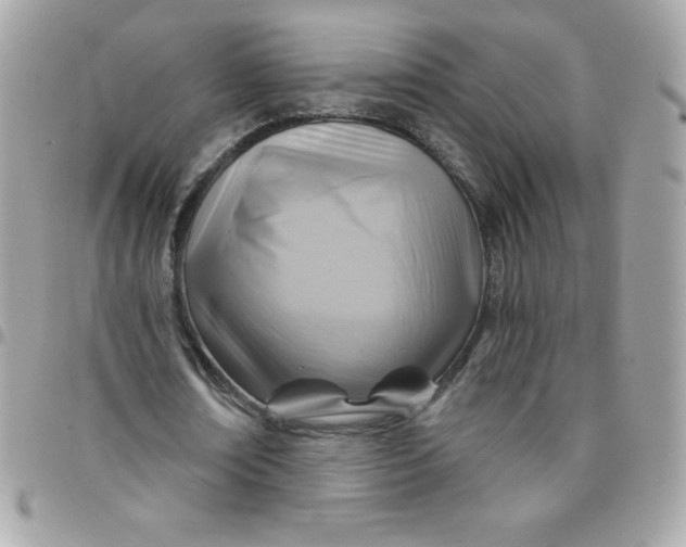 X0000097750674200803211652