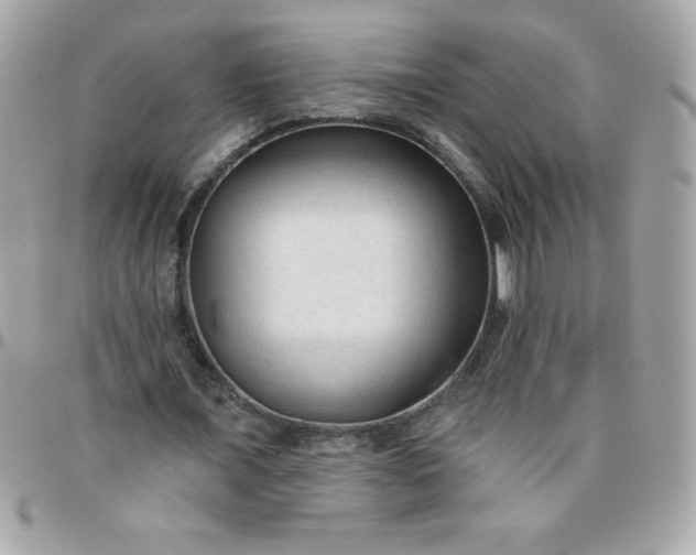 X0000097750675200803211652