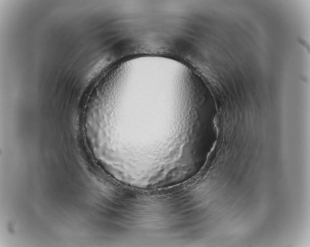 X0000097750679200803211652