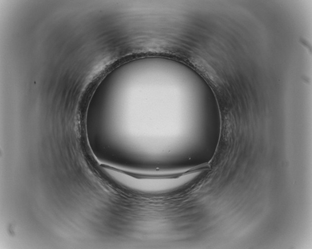 X0000097750680200803211652