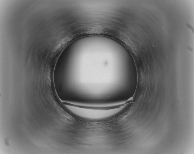 X0000097750681200803211652