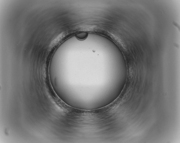 X0000097750682200803211652