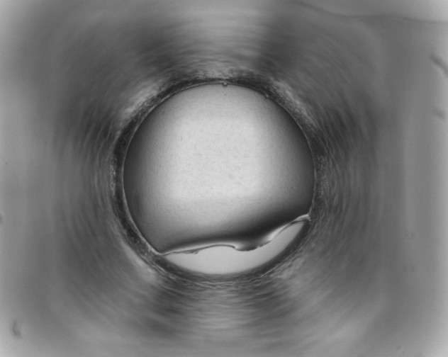 X0000097750683200803211652