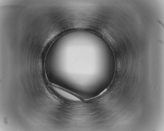 X0000097750684200803211652