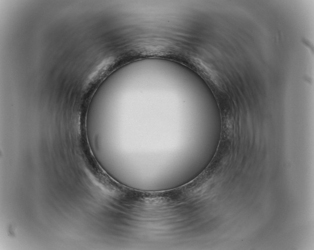 X0000097750686200803211652