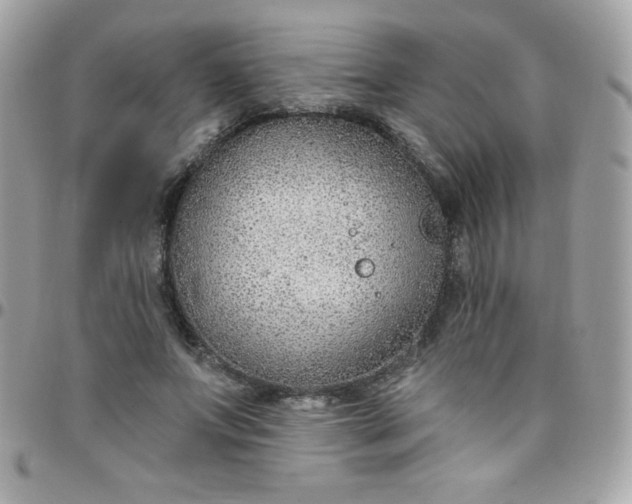 X0000097750687200803211652