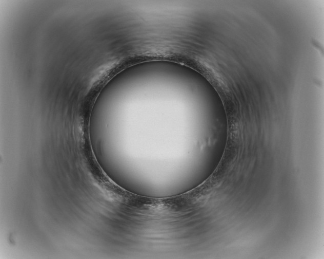 X0000097750688200803211652