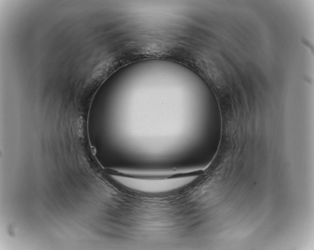 X0000097750689200803211652