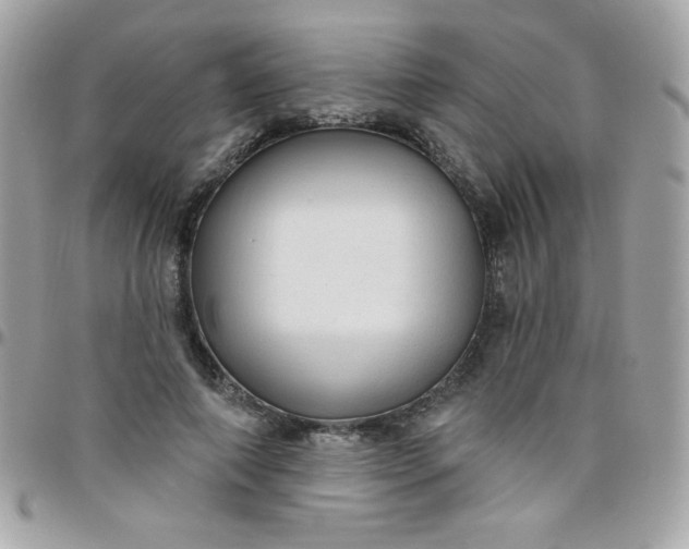 X0000097750690200803211652